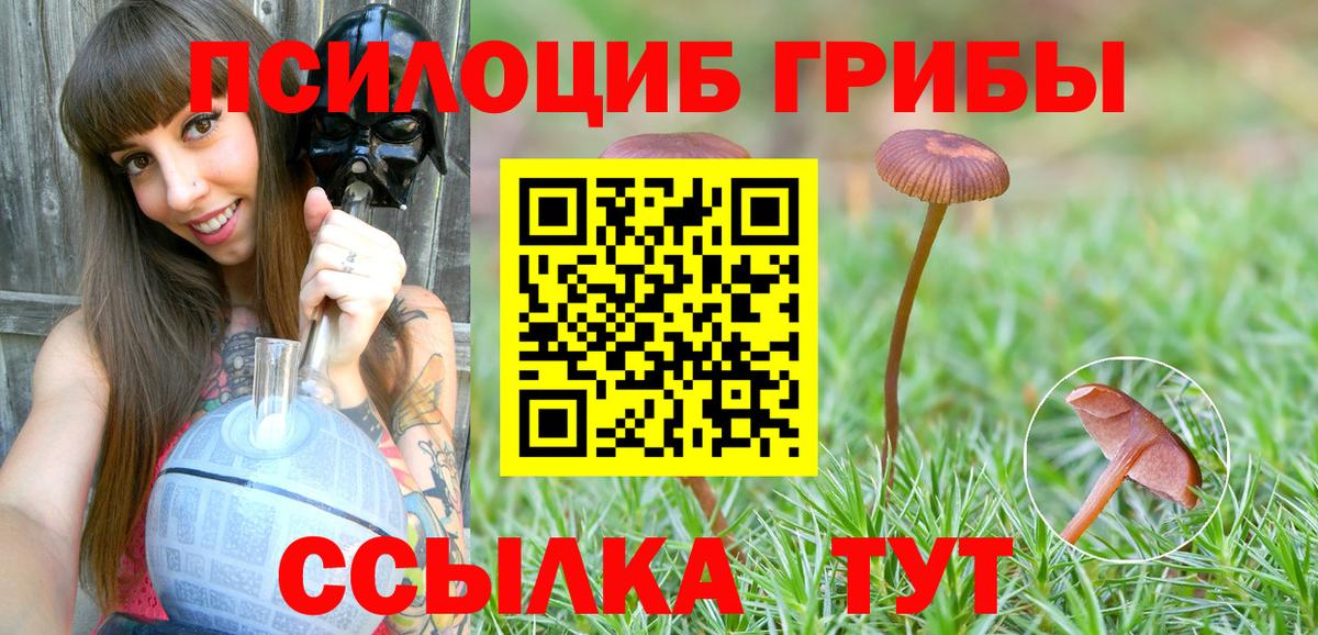Псилоцибиновые грибы GOLDEN TEACHER Ликино-Дулёво