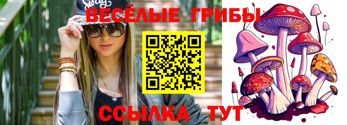 Ликино-Дулёво  купить наркотики цена  Галлюциногенные грибы прущие грибы  Вход с VPN  Галлюциногенные грибы Magic Shrooms 